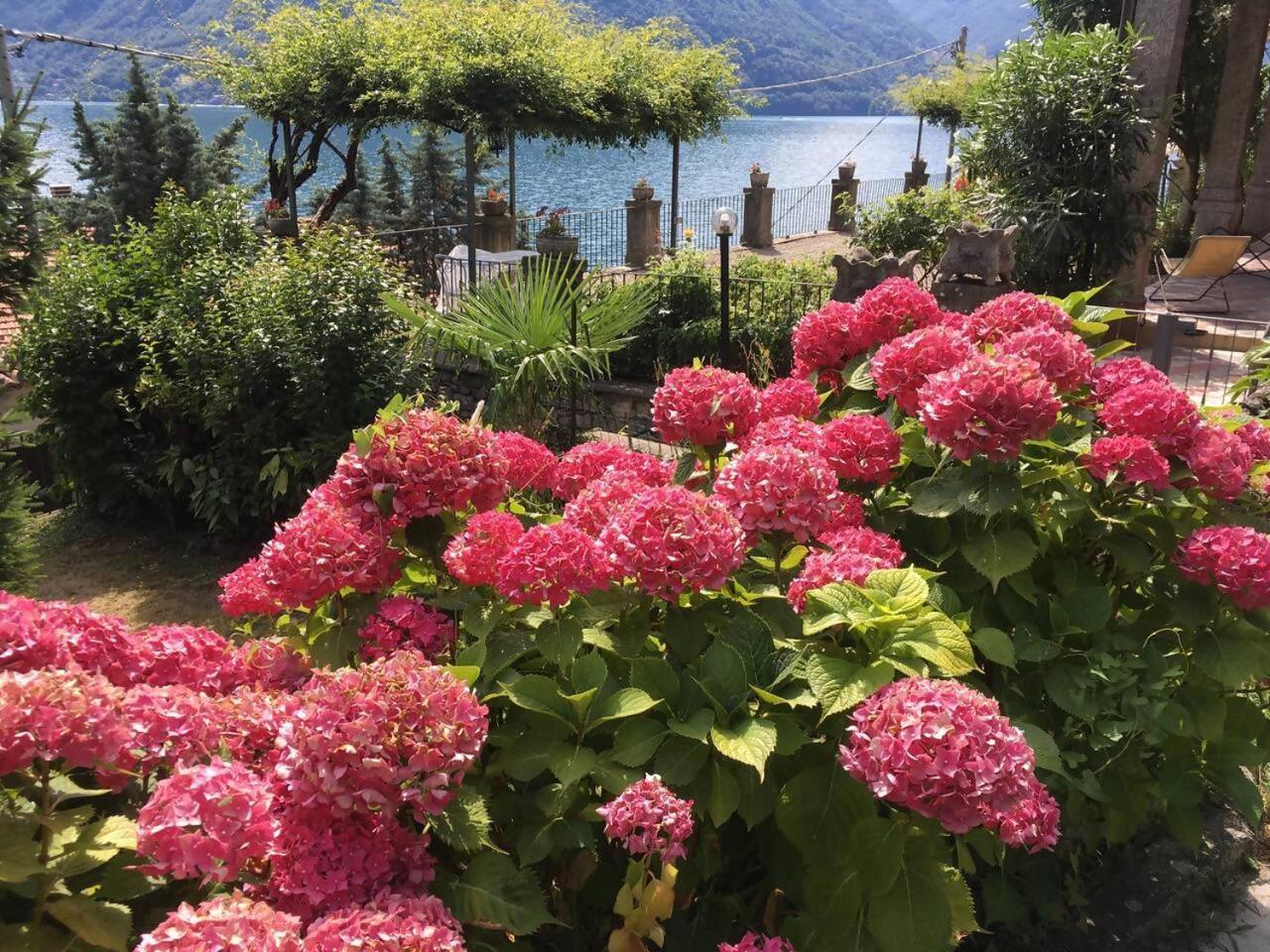 Villa Peroni Honeymoon Cottage Argegno Exterior photo